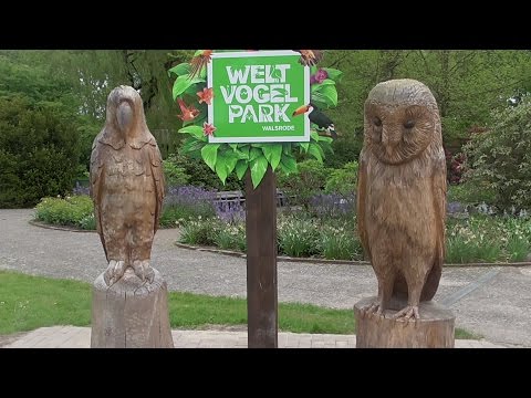 Vogelpark Walsrode    Mai  2016
