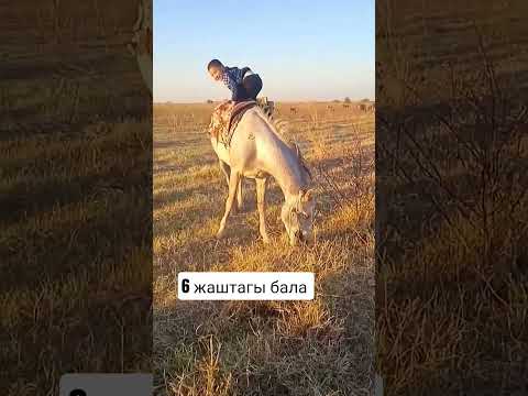 6 жашаар палбан.