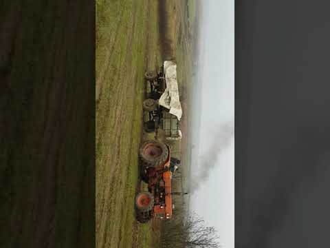 Tractoristii din paniova 👍👍