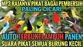 Download lagu Suara pikat semua burung kecil terbukti ampuh anti zonk auto panen mp3 Download lagu Suara pikat semua burung kecil terbukti ampuh anti zonk auto panen mp3