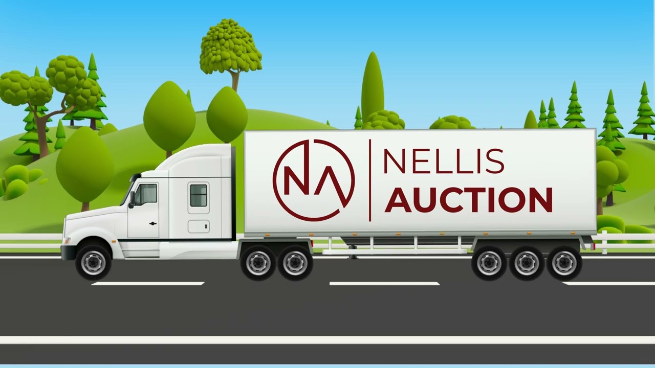 Introduction to Nellis Auction & Our Retail Return Liquidations!!