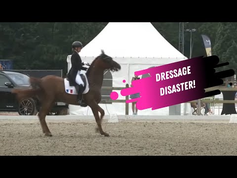 Dressage Disaster: Deodoro Destroys The Dressage Ring!