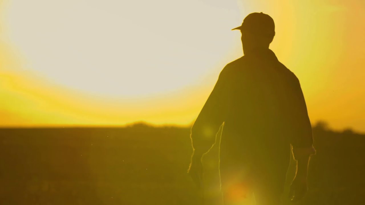 Nishigaki sövényvágó olló 280mm