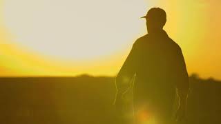 Nishigaki sövényvágó olló 280mm