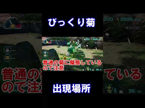 びっくり菊出現場所!!【ピクミン4】#shorts