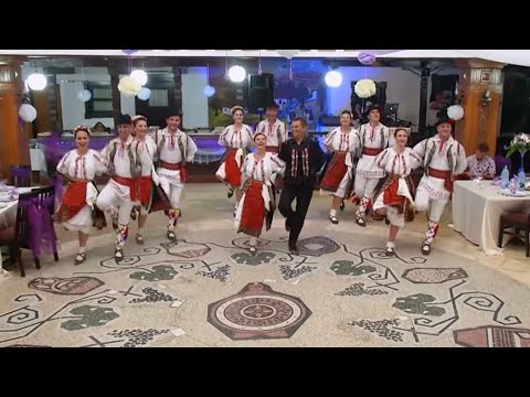 How we party at the WEDDING! Welcome to the final circus.