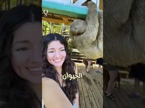 😱لحظة توتر مع حيوان لطيف❗🩸#رعب #غموض #شورت