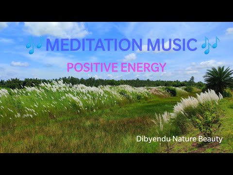 Meditation Music / Beautiful Blue Sky With Kash Flowers ......