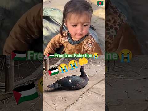 free free Palestine 🇵🇸 ya Allah help me Palestine 😭#palestina#palestine#islamictv6764#shorts_video