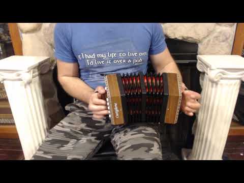 CASTAD20 - Mahogany Castiglione Anglo Concertina AD 20 $399