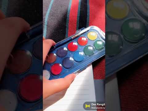 hey independence day special samiha creations shorts