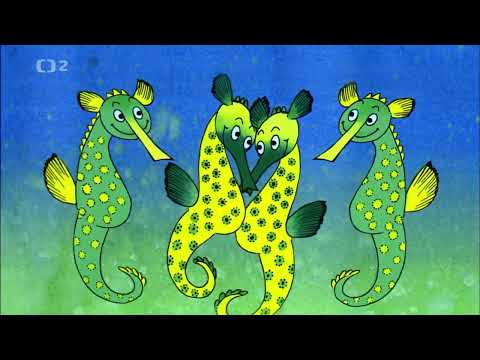 Racochejl the elf - Frogs and Seahorses