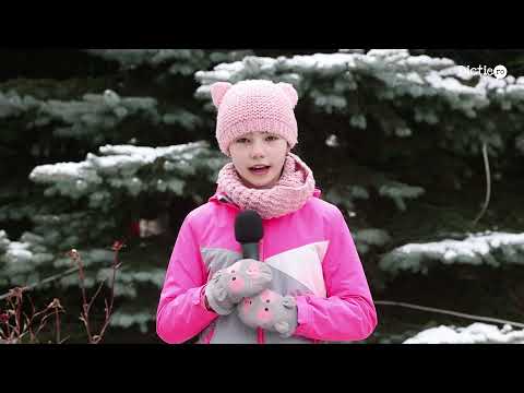 Recomandări de iarnă la munte - Ana Maria Bobeica