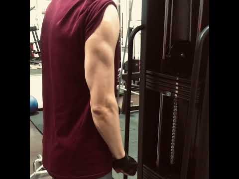 Muscle GYM @ Team Dolgov