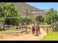 Blanco Guest Farm Summer Family Fun