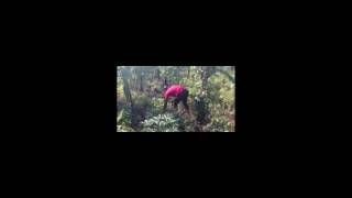 A visit to Rainbow Mirrors farm