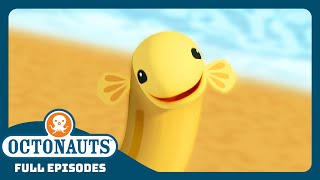 @Octonauts - 🏖️ The Eel Ordeal 😼 | Season 1 | Full Episodes | Cartoons for Kids