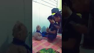 Download lagu Ikspi || Rumekso ingsun mp3 Download lagu Ikspi || Rumekso ingsun mp3