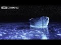 Life Of Pi 4K HDR Whale Scene