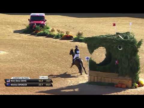 Leading CCI5*L XC Ride - Monica Spencer and Artist