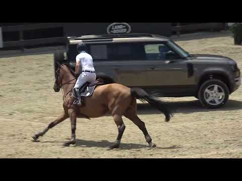 Hulki Karagülle - Leonardo Da Vinci MX - 25.06.2022 Teşvik 125 cm G, GY, YT, YP Beşincisi