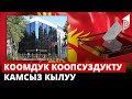 ИИМ шайлоо мыйзамдарын бузууга байланышкан фактылар аныкталса чара көрүлөт