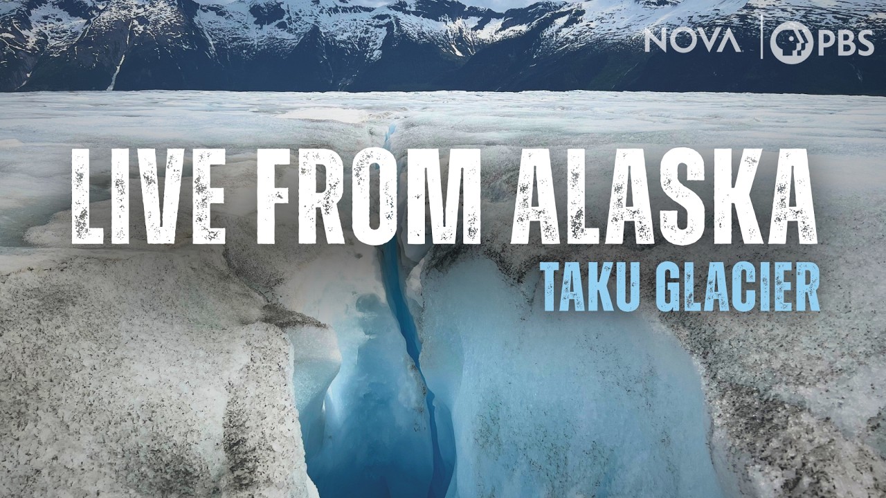 Live from Alaska with Senior Producer Caitlin Saks | NOVA | PBS