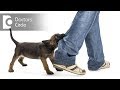 Should One Take Dog Bite Vaccination After Dog Scratch With No Visible Blood Dr Sanjay Panicker