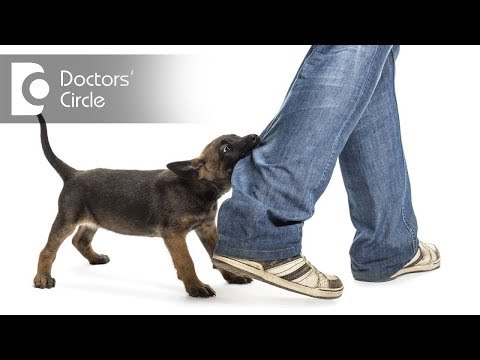 Should one take dog bite vaccination after dog scratch with no visible blood? - Dr. Sanjay Panicker