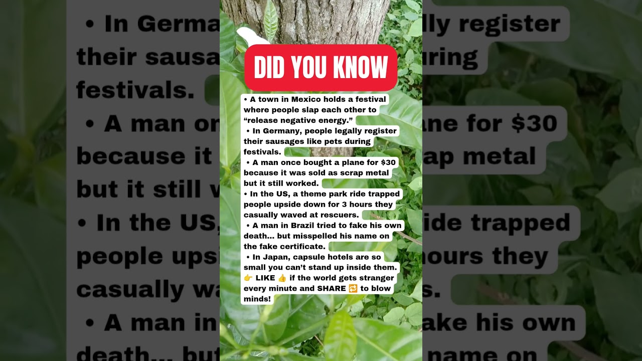 Random Reality Facts That Break Your Brain 😱🌀