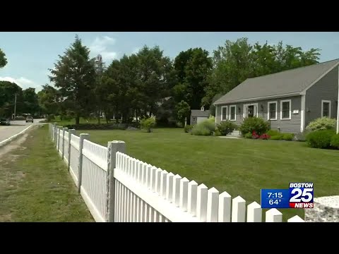 Chelmsford Zip Trip | On The Market