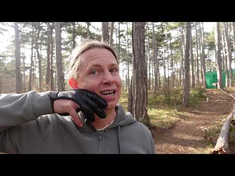 "Standard"-Seitenanker beim Bogenschießen und Auswirkungen von Abweichungen davon