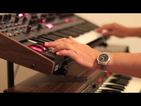 Shine on you crazy Diamond Part 1 OB-6 and Solina String Ensemble