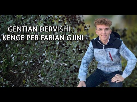 Gentian Dervishi - Këngë Për Fabian Gjinin Video