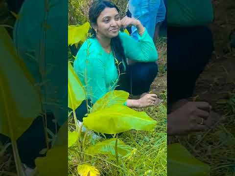 adult malayalam web series Watch HD Mp4 Videos Download Free