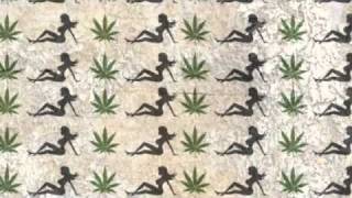 Shwayze &amp; Cisco Adler - Lie Together All Night : Fresh Summer Rap