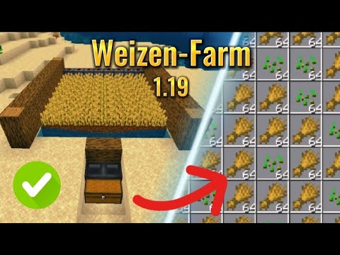 Minecraft WEIZEN Farm bauen! | 1.19 Tutorial | Flizzer