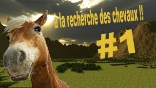 preview picture of video 'à la recherche des chevaux !!'