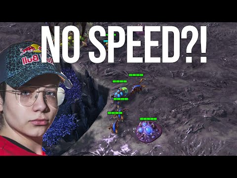 Reynor REINVENTS The Meta vs Serral