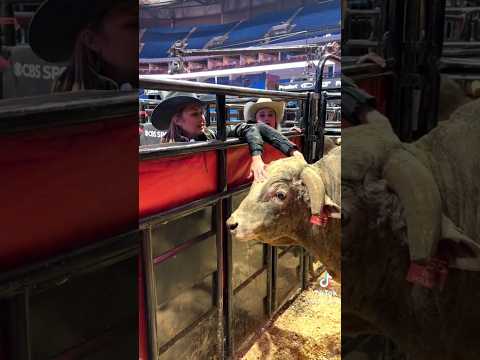 What You Don't See At Rodeo Events, Top Bucking Bulls #Rodeo #buckingbull #buckingbulls #bullriders