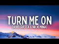 David Guetta - Turn Me On (Lyrics) ft. Nicki Minaj