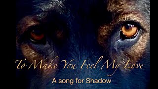 "To Make You Feel My Love" Linda Eder sings Bob Dylan