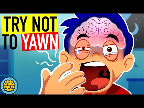 Why Yawning Is So Contagious