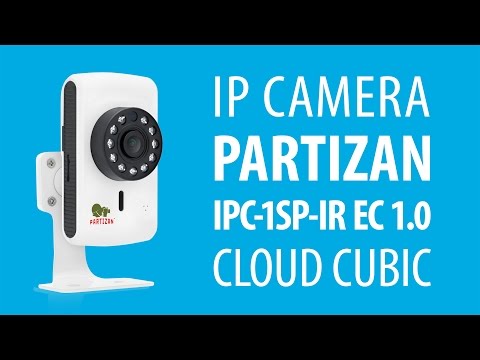 IP camera Partizan IPC-1SP-IR EC 1.0 Cloud Cubic