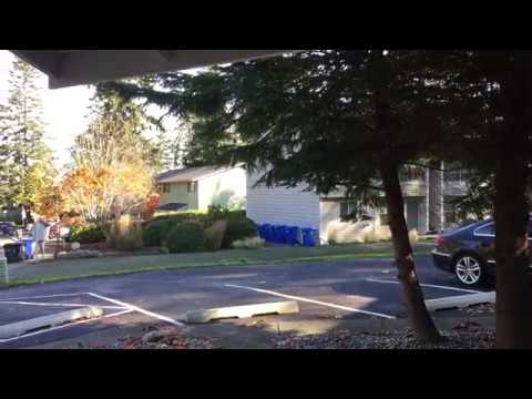 1050 Harrier Circle - Video 2 of 2