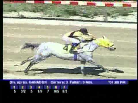 Resumen Sabado, 05 de Noviembre de 2011 - La Rinconada