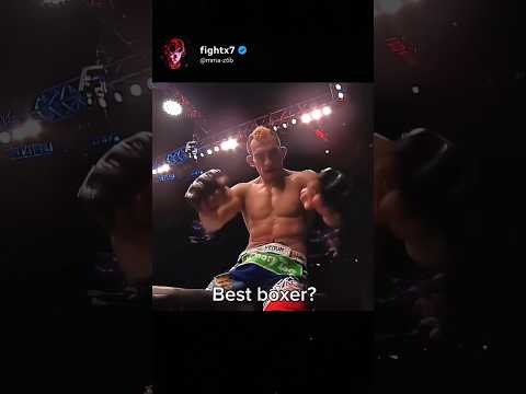 fightx7 video artwork