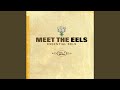 Get Ur Freak On ("Meet The EELS" Version)