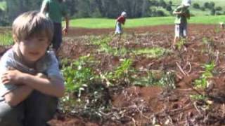 I&#39;ll have to say I love you    ภูสมิงค์