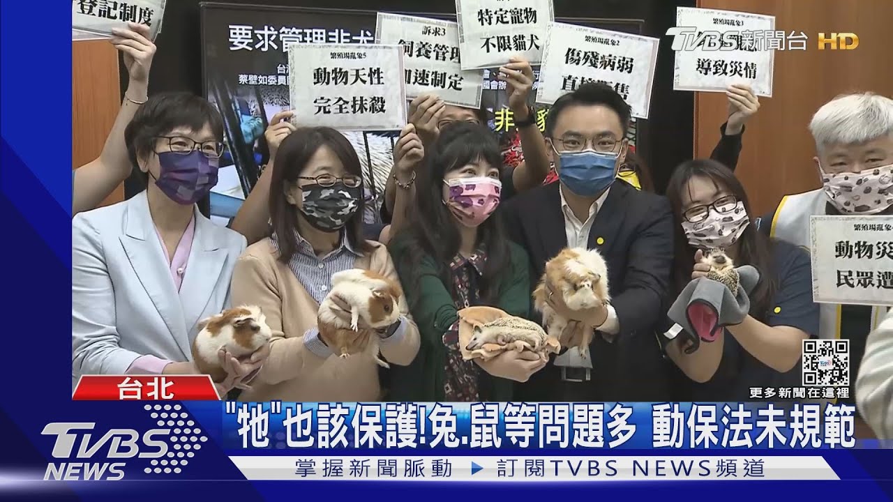 「牠」也該保護!兔、鼠等問題多動保法未規範
